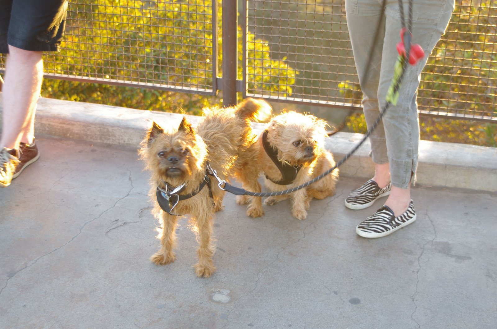 Griffith Observatory  070